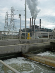 The Tampa Bay, Florida desalination plant: A series of failures and costly delays. Photo: www.treehuggers.org